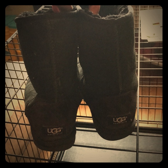 UGG Shoes - Black short uggs